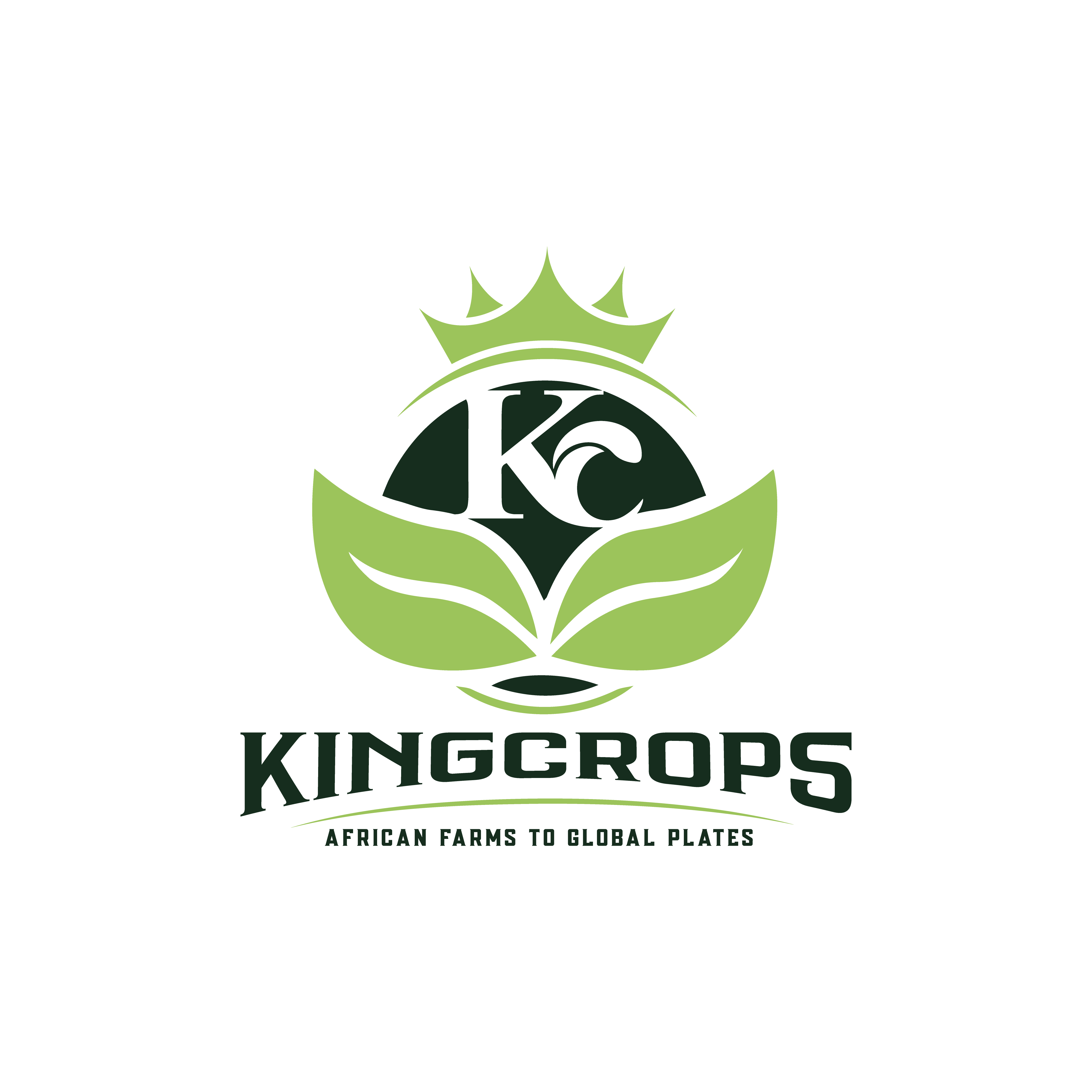 Security Solutions Icon