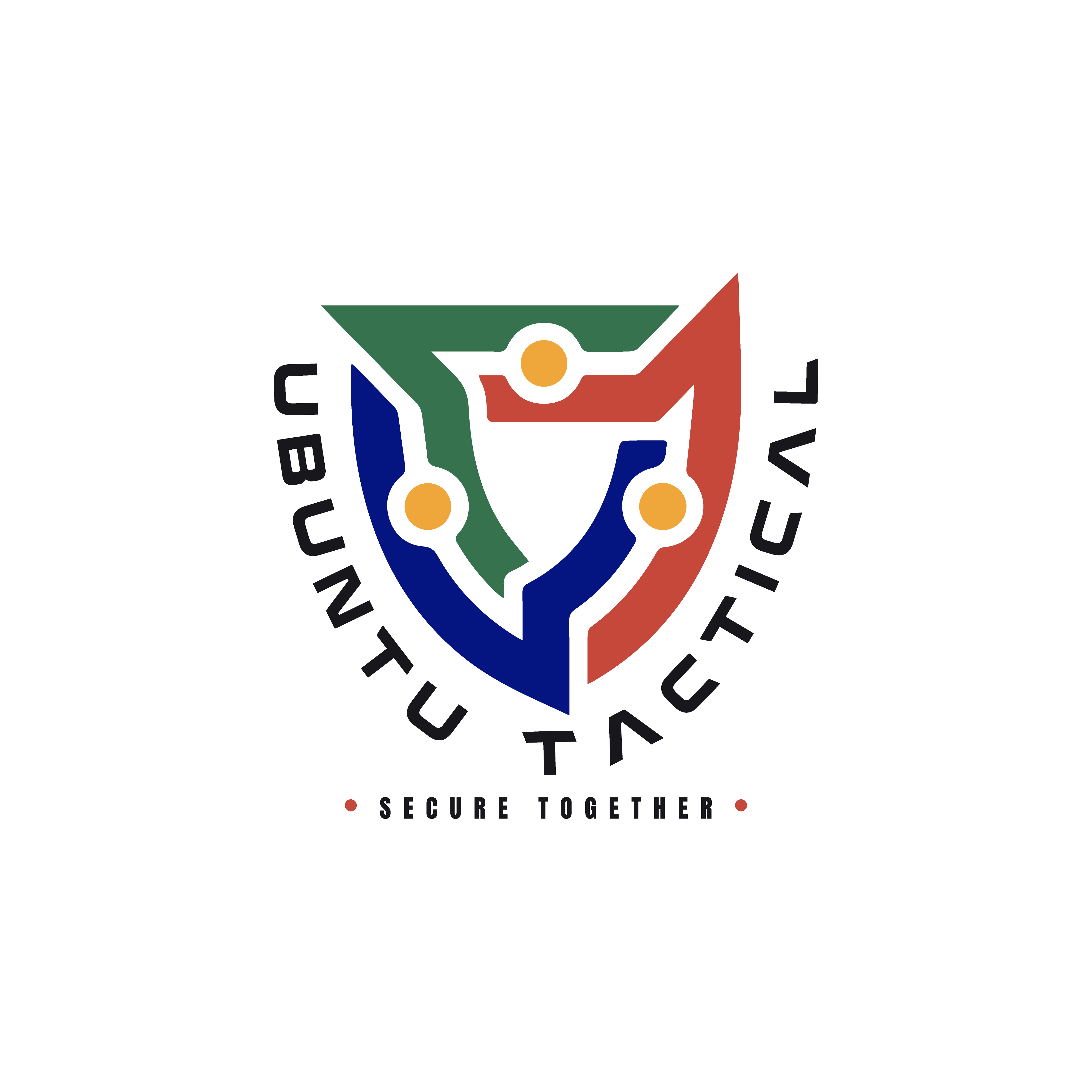 Security Solutions Icon